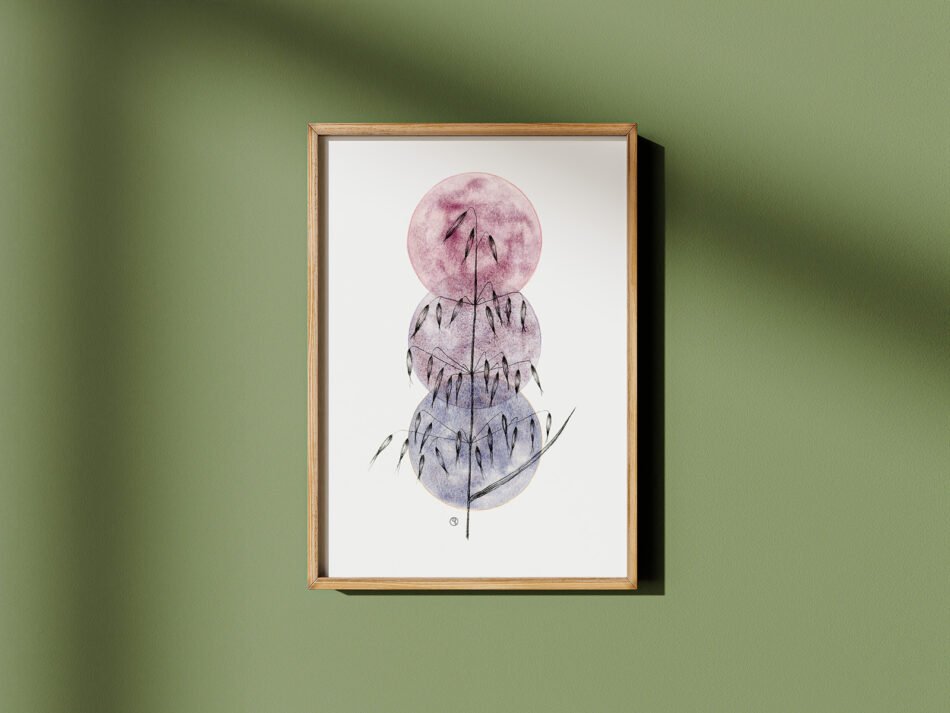 Reproduction d'une illustration botanique à l'aquarelle et encre noire représentant de l'avoine sauvage herbes sauvages tirage d'art Fine art cadre bois