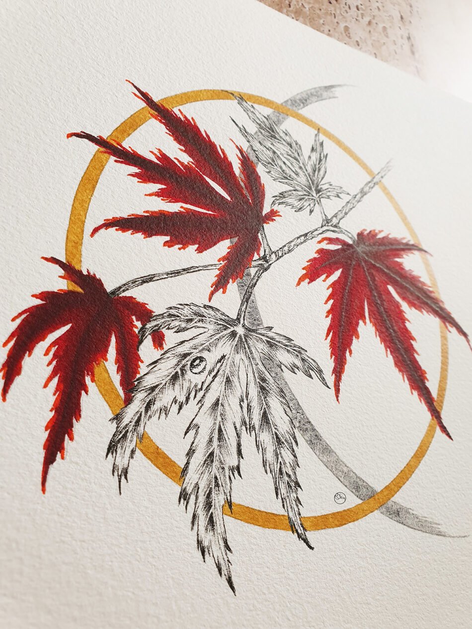 Vue en gros plan d'une aquarelle originale représentant une branche de feuilles d'érable japonais encerclées