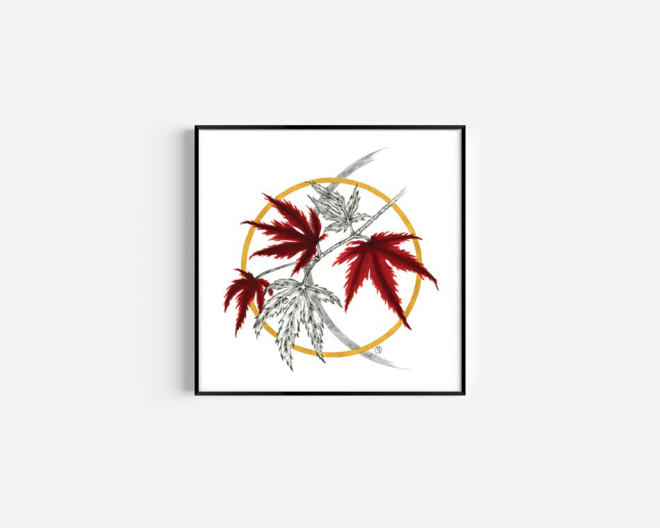 Reproduction d'un dessin aquarelle et encre de feuilles d'érable japonais et cercles ocre et gris tirage d'art Fine art cadre noir