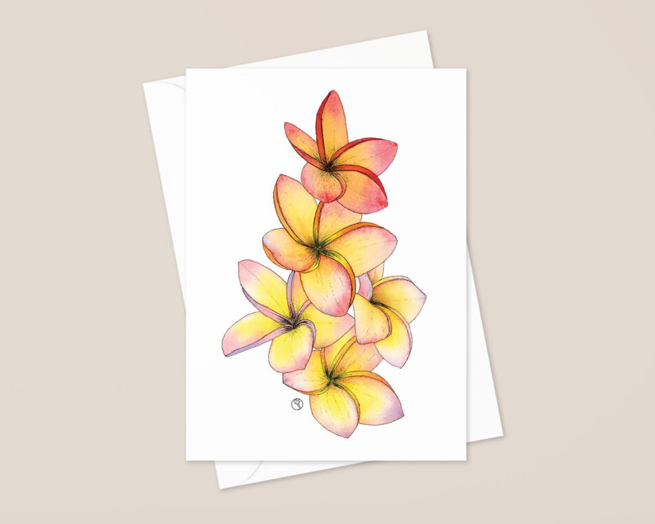 Reproduction d'une illustration d'une aquarelle de fleurs exotiques de frangipanier Plumeria rubra jaune orange rose format carte postale à envoyer ou à encadrer