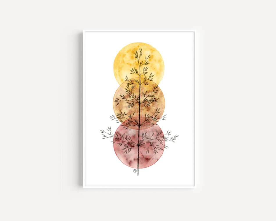 Reproduction d'une illustration botanique à l'aquarelle et encre noire représentant du pâturin herbes sauvages tirage d'art Fine art ronds ocres