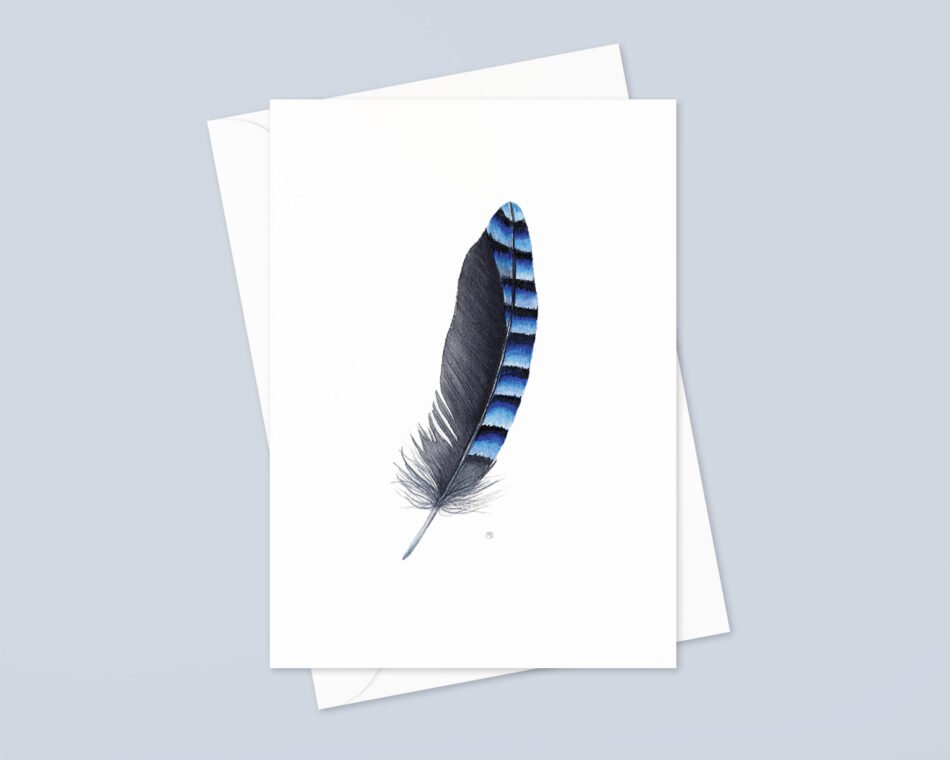 Illustration reproduction d'une aquarelle représentant une plume de geai format carte postale posée sur une enveloppe et fond bleu