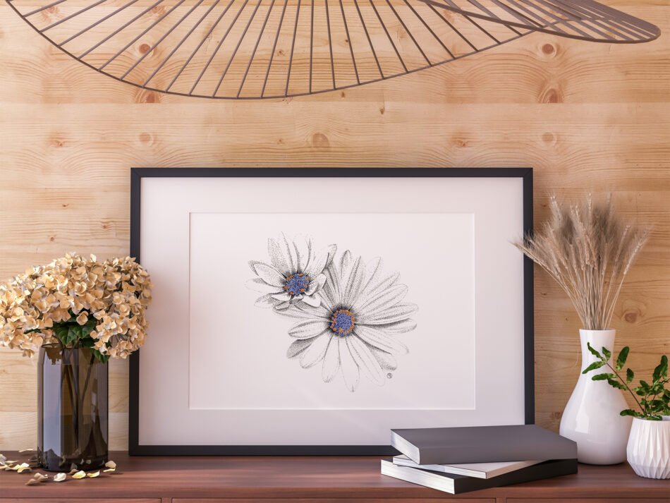 Tirage d'art Fine art reproduction d’un dessin original de fleurs de marguerite du Cap dans un cadre noir sur fond mur en bois