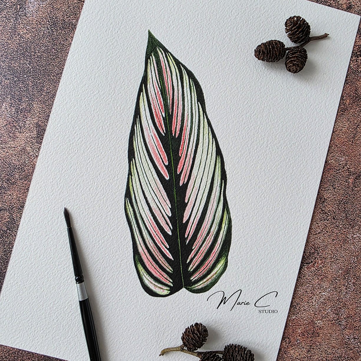 Feuillage graphique 5 Feuillage graphique de Calathea majestica peint à l'aquarelle, peint par MarieC Studio
