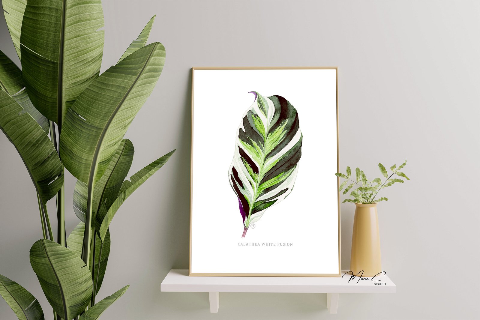 Feuillage graphique 2 Tirage d'art d'une aquarelle originale représentant un feuillage graphique de Calathea White Fusion dans un cadre en bois clair réalisée par MarieC Studio